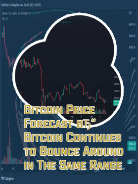 16 bitcoin's price