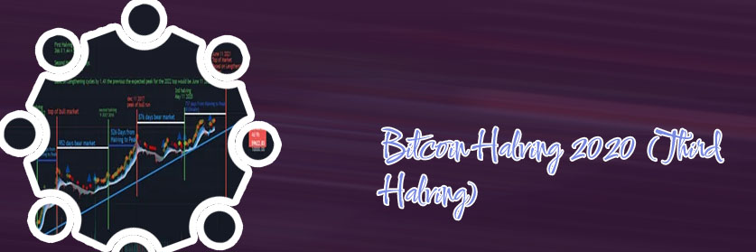 Bitcoin halving price chart