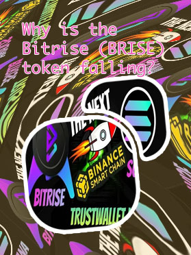 Bitrise exchange