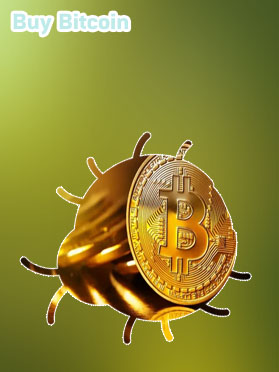 Buy bitcoin circle
