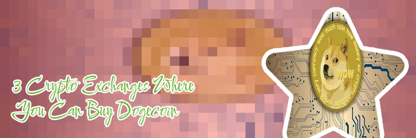 Platforms with dogecoin